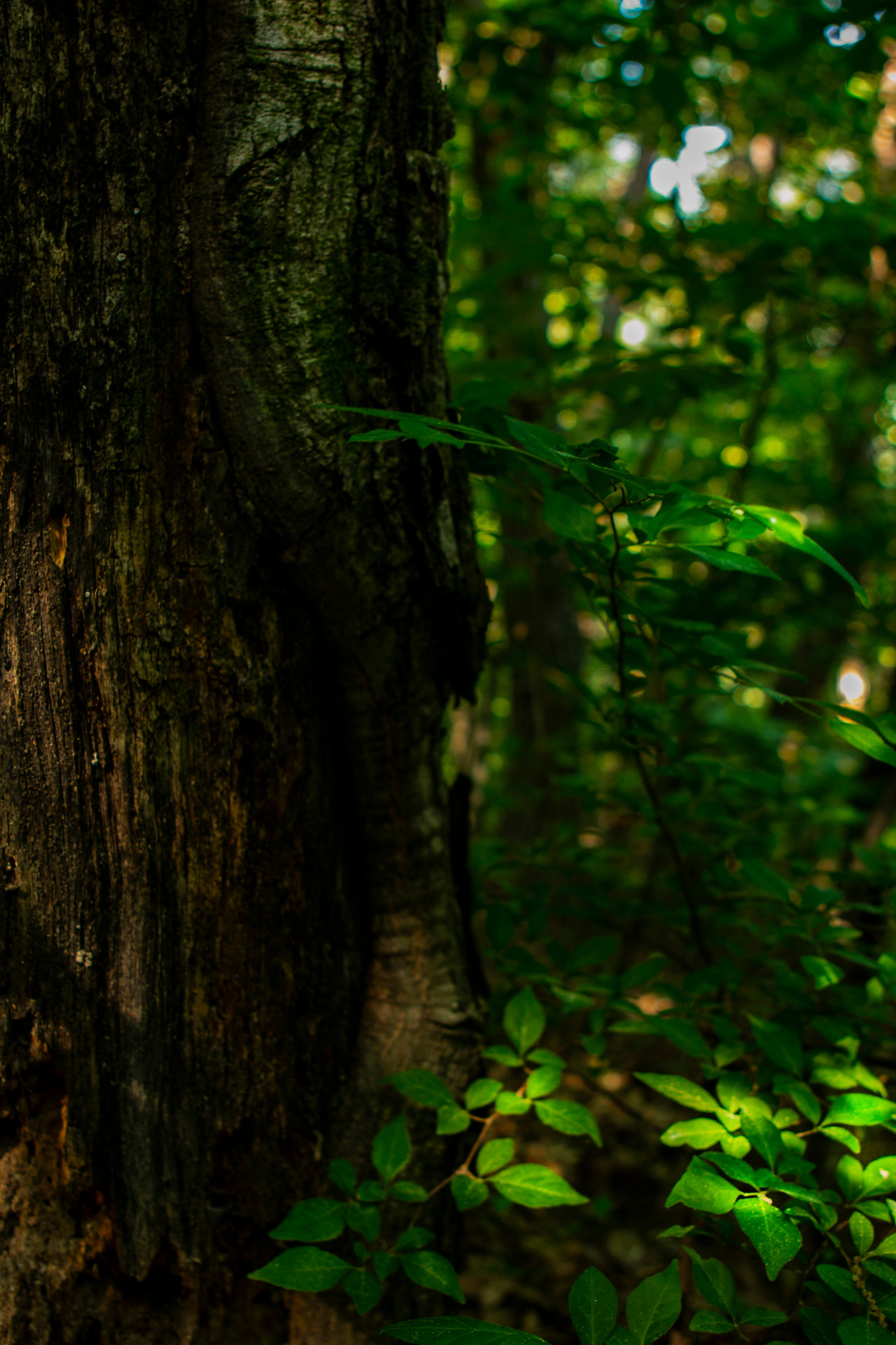 IMG_5457완료.jpg 수정.jpg