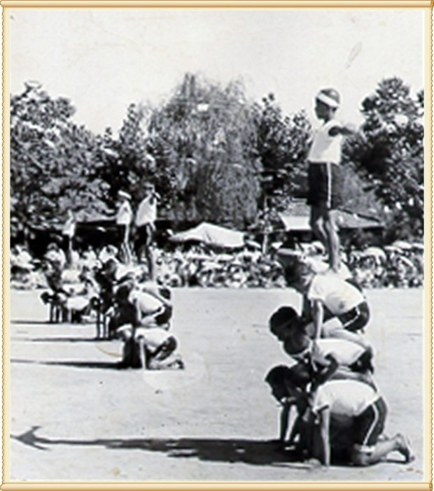 다운로드 (3).jpg