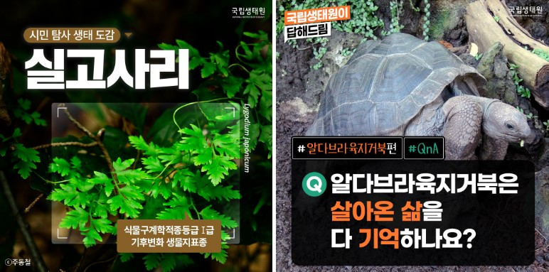 화면 캡처 2025-02-19 122631.jpg