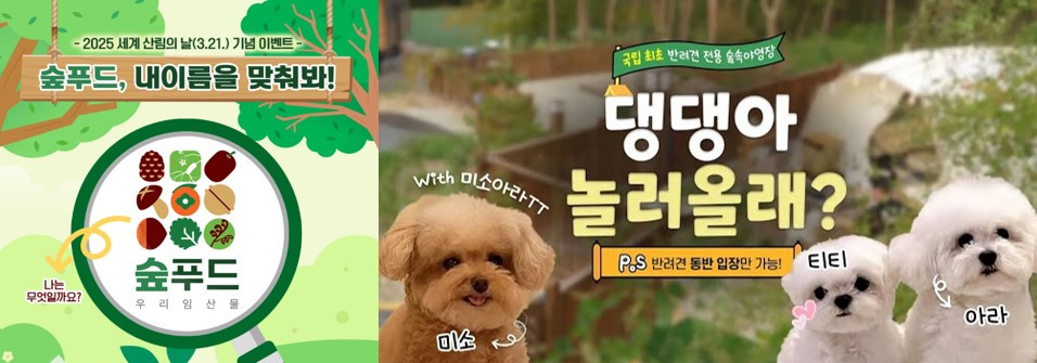 화면 캡처 2025-07-15 210025.jpg