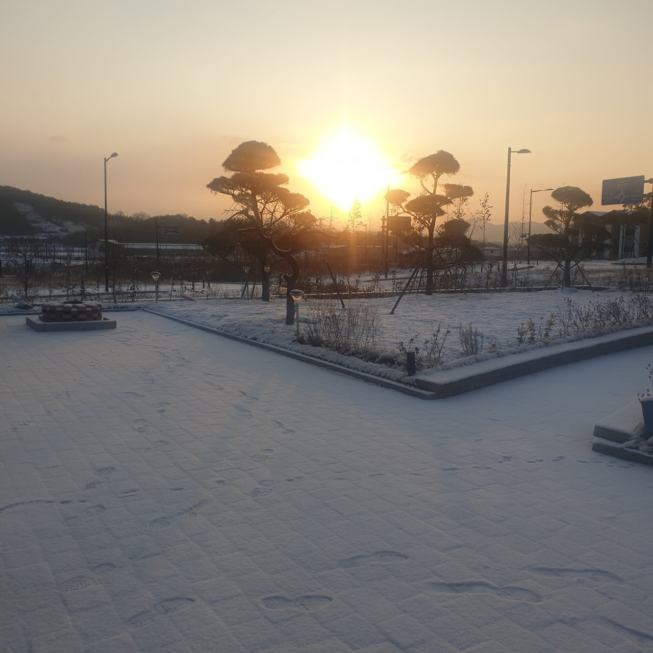 눈아침.jpg