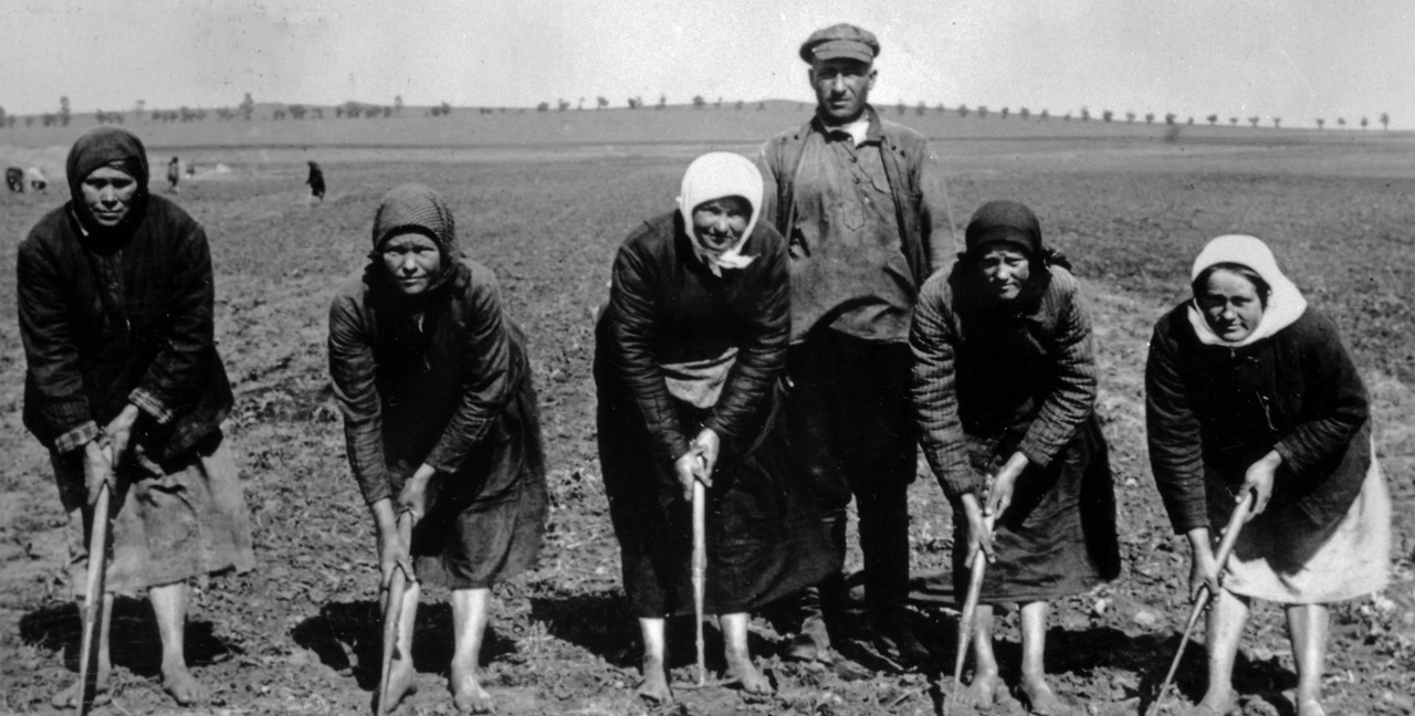 콜호즈 농민들.jpg