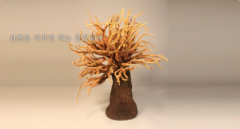 980x529.crop (3).jpg