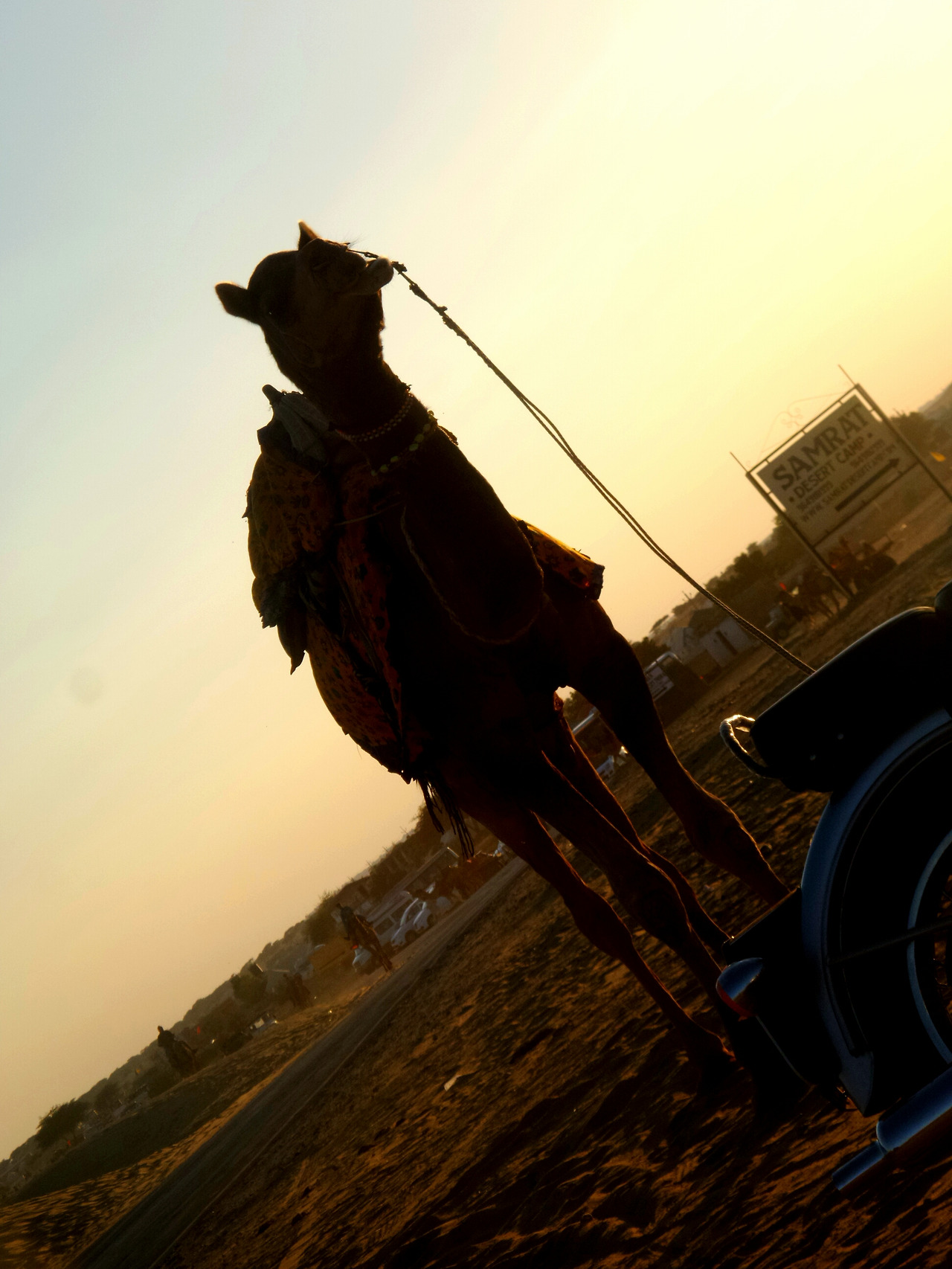 2016-01-11 18.13.20.jpg