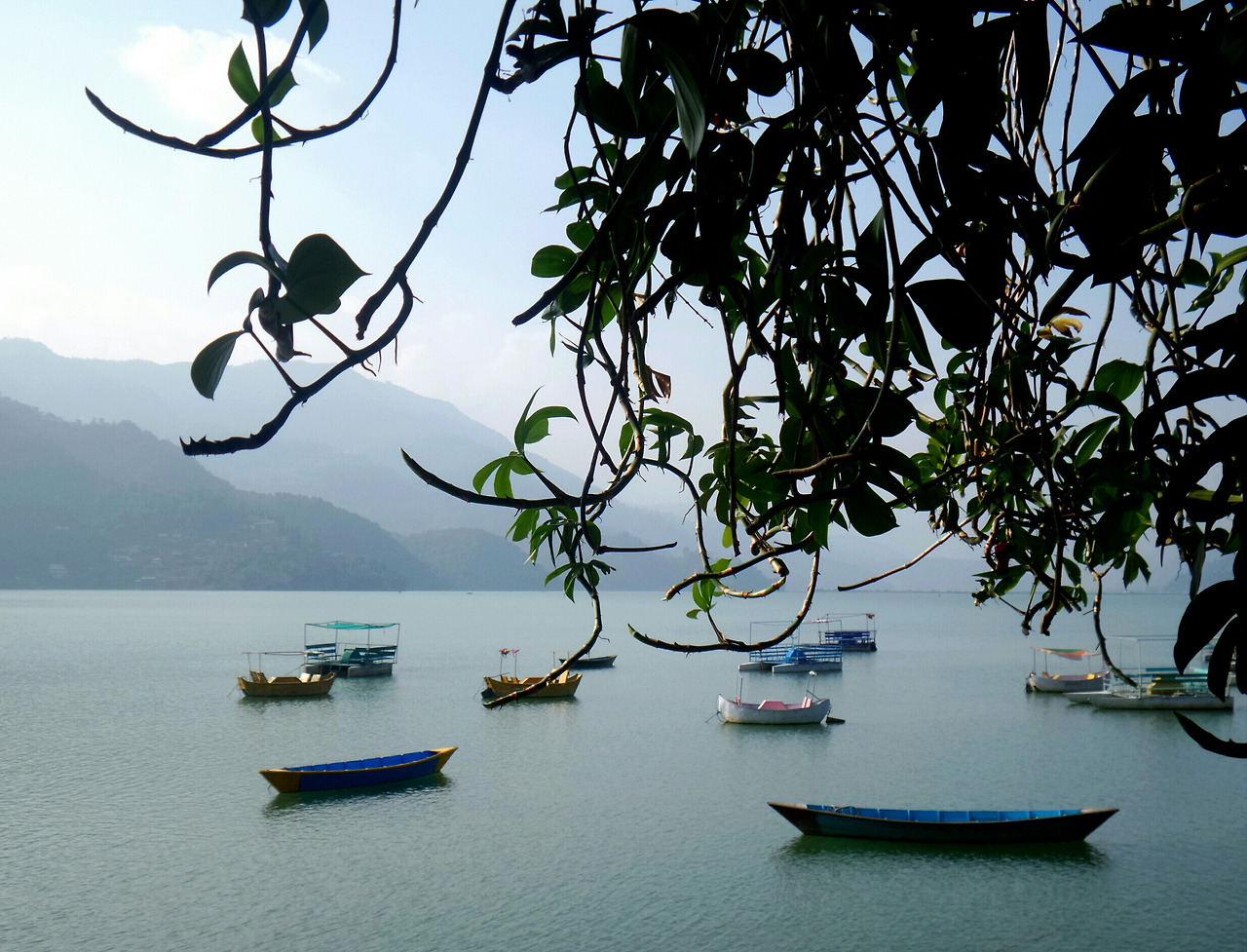 2015-12-16 01.23.19-1-1.jpg