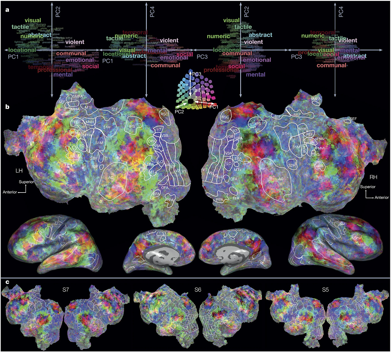 fMRI pattern.jpg