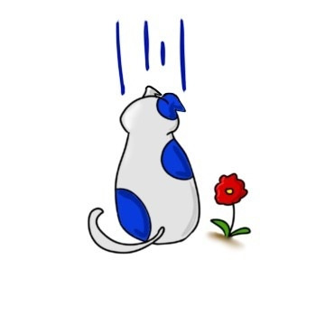 갬성 파라랑.jpg