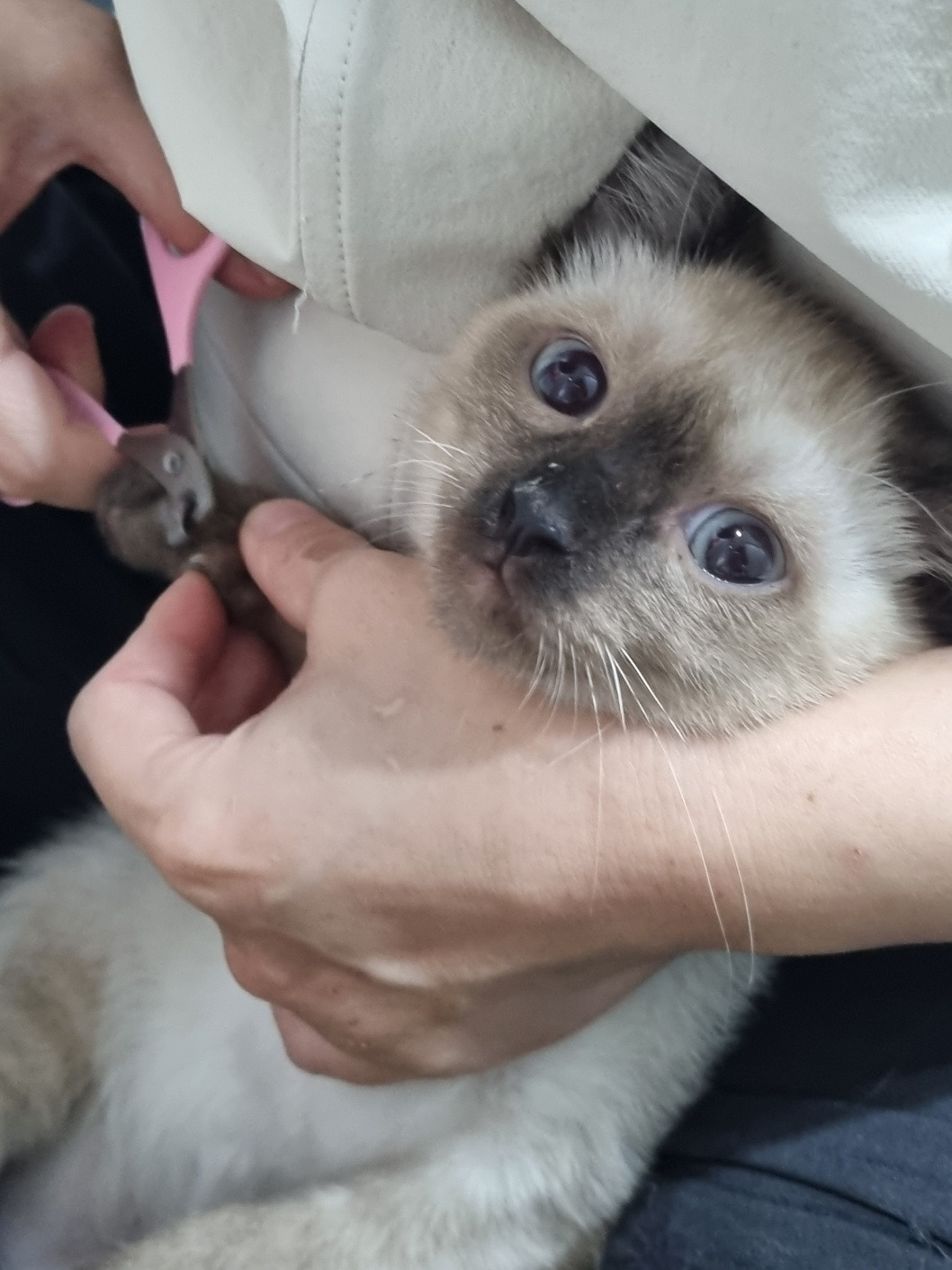 카지노 가입 쿠폰