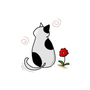 갬성 블래랙.jpg