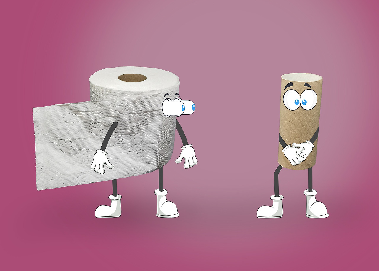 toilet-paper-4954683_1920.jpg