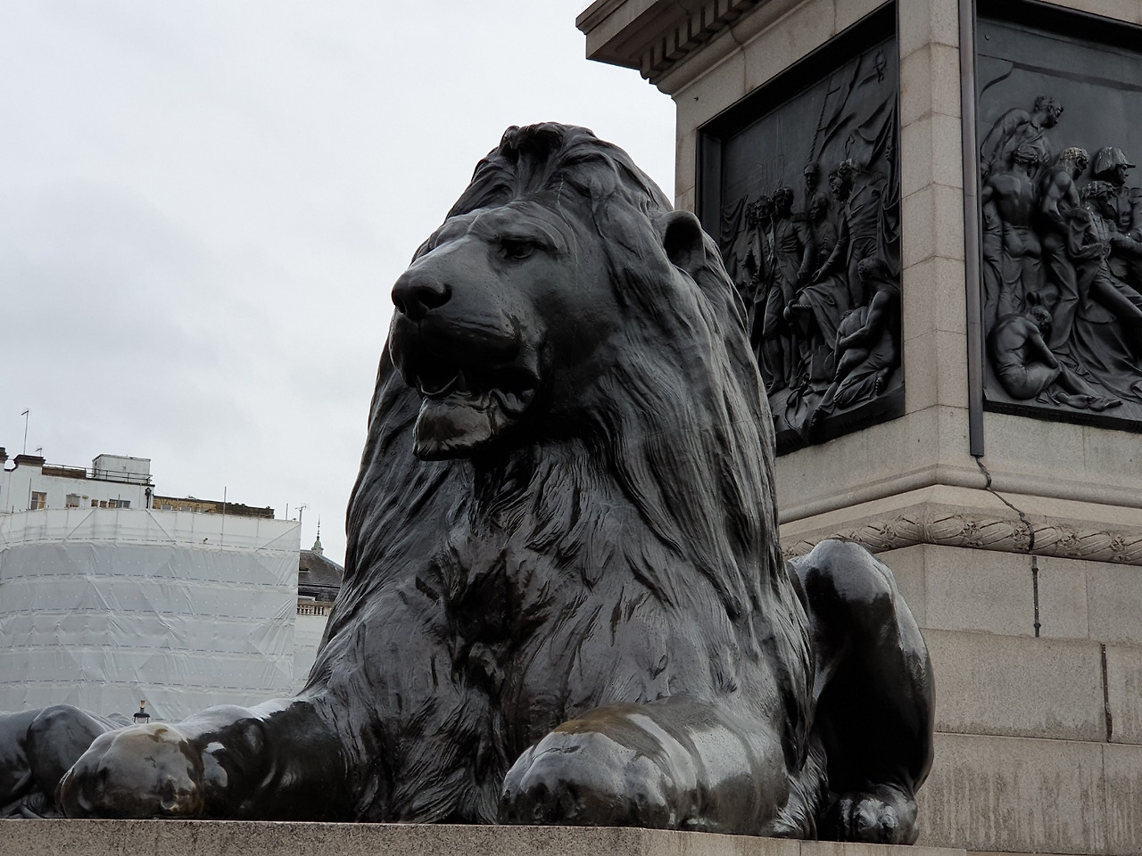 트라팔가 광장 사자.jpg