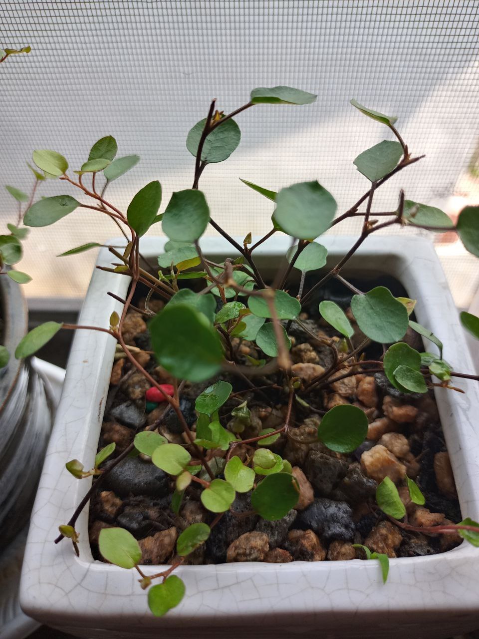 photo6168121449001366333 (1).jpg