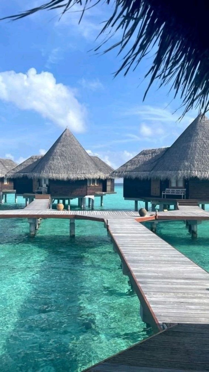 무레아 방갈로 9.jpg