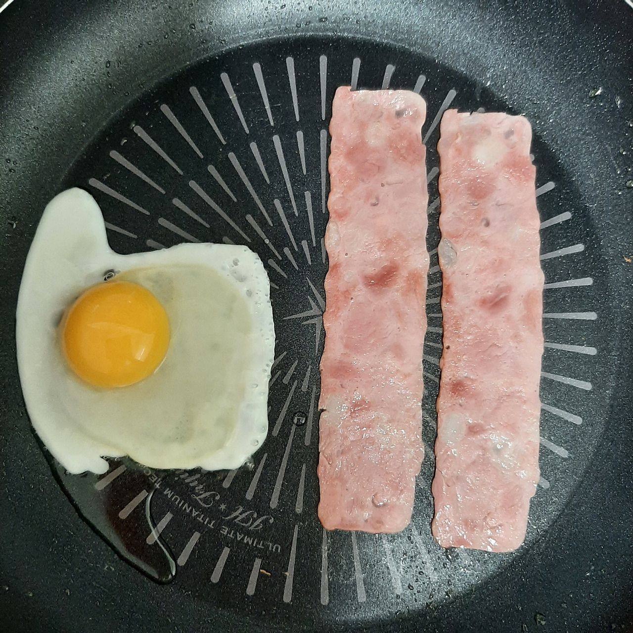 20220512_075509 - 복사본.jpg