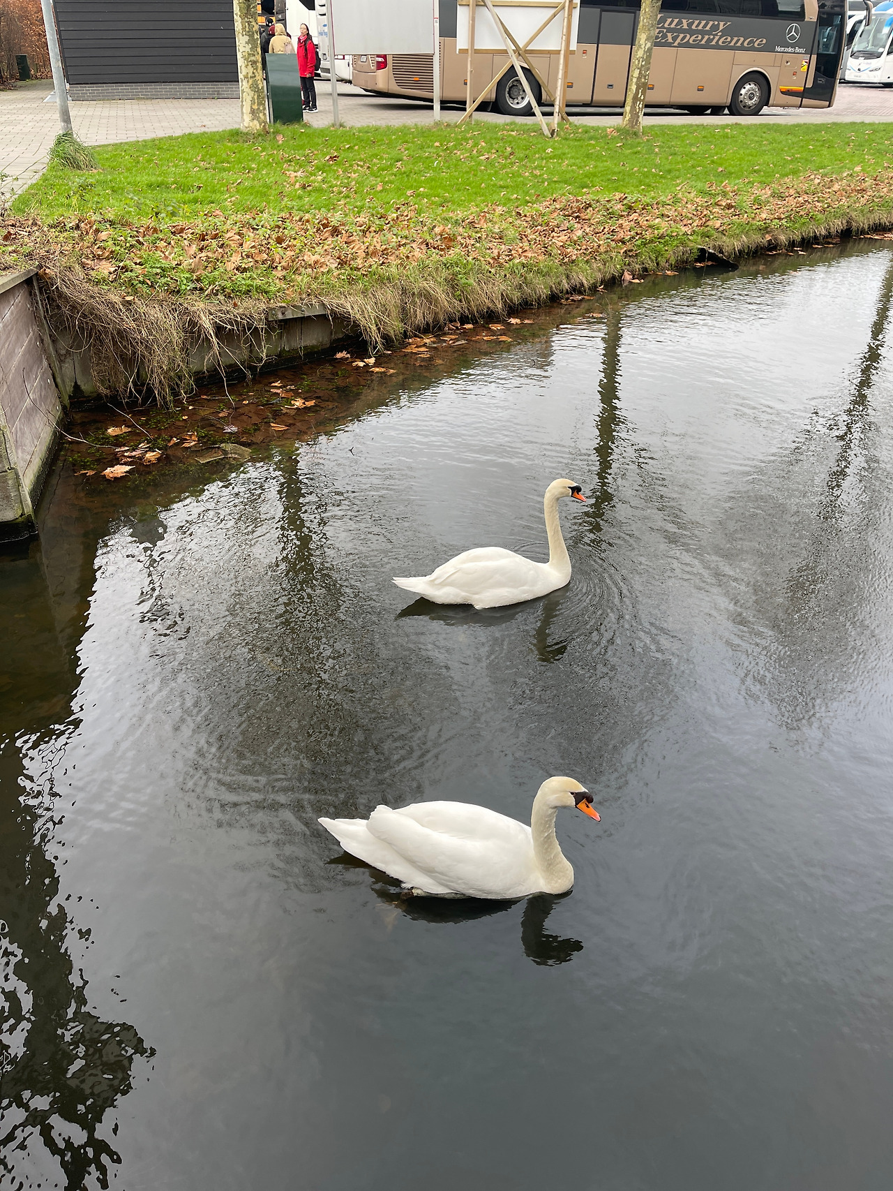 KakaoTalk_20241012_111653725_08 (1).jpg