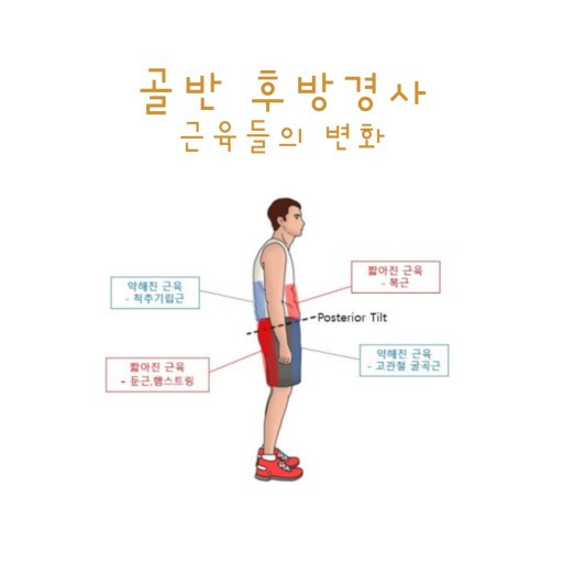 다운로드 (22).jpg