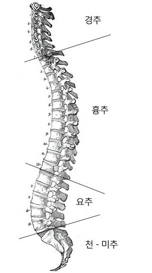 다운로드 (20).jpg
