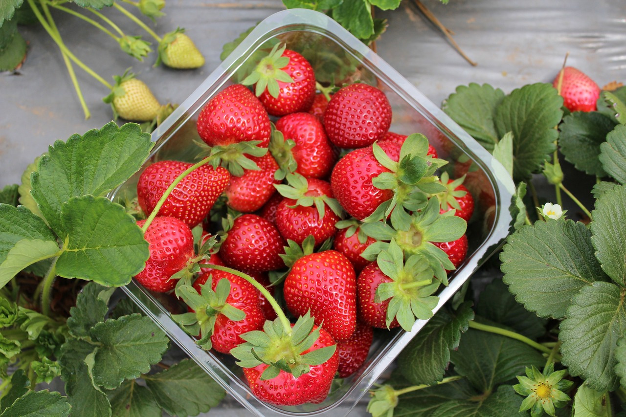 strawberries-2240596_1280.jpg
