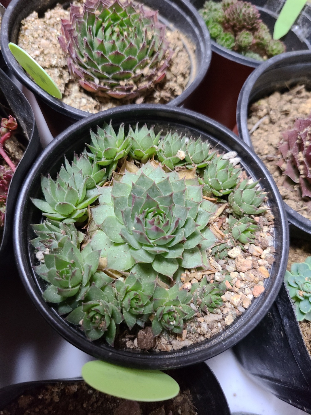 KakaoTalk_20220514_034946383_14 (1).jpg