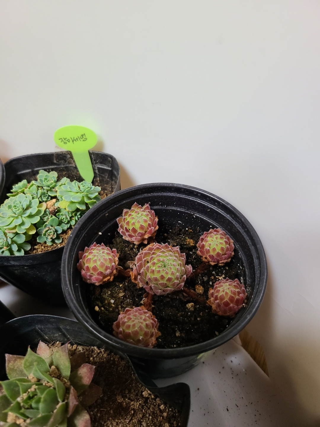 KakaoTalk_20220514_034946383_10 (1).jpg