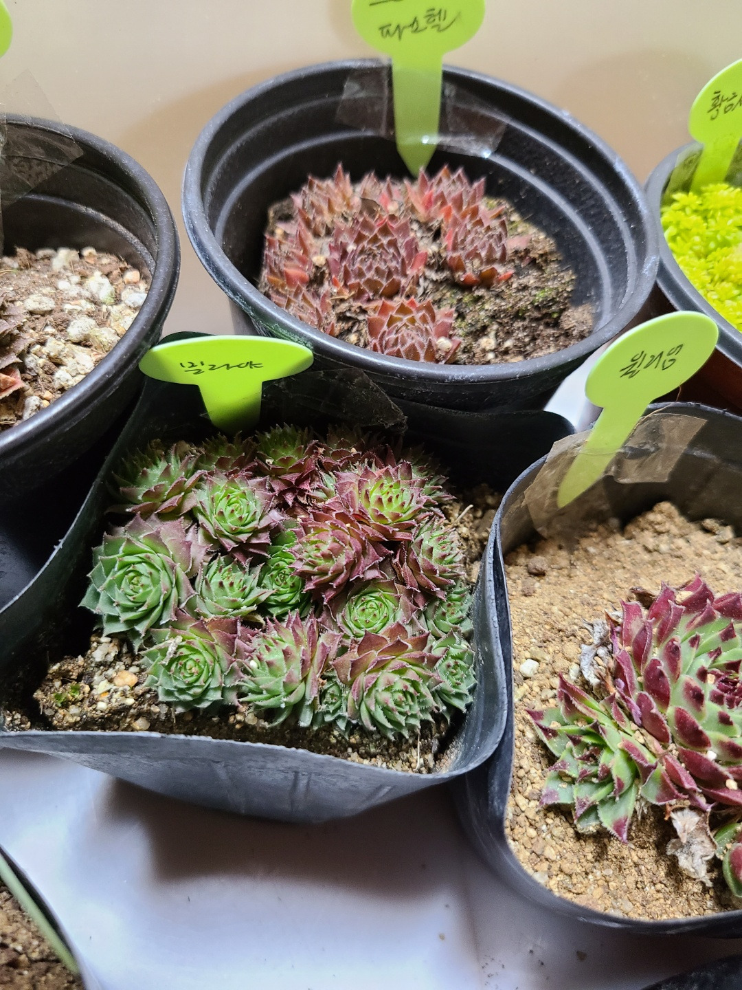 KakaoTalk_20220514_034946383_20 (1).jpg