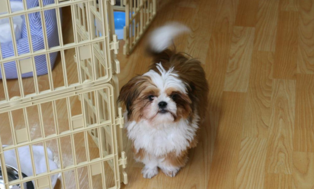 KakaoTalk_20220525_175803070 (1).jpg