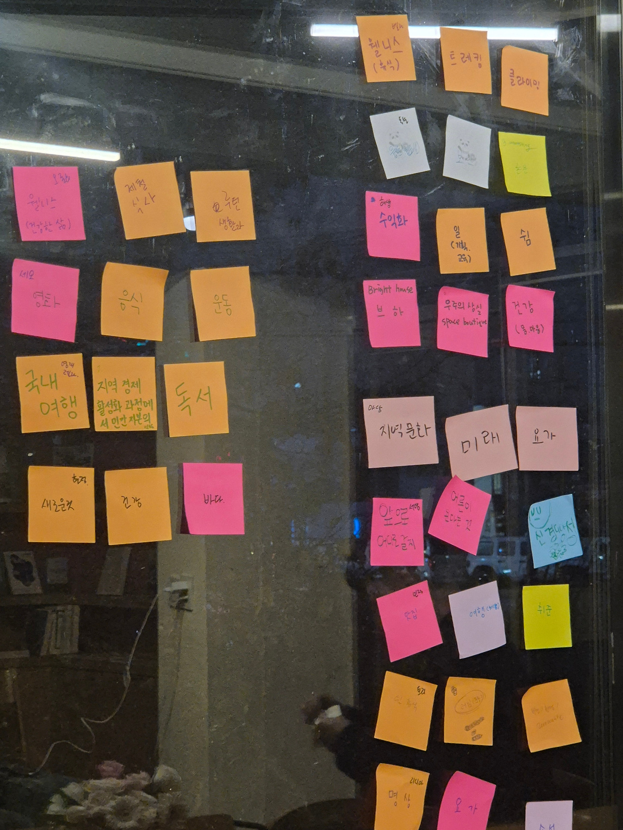 20251011_061354 (1).jpg