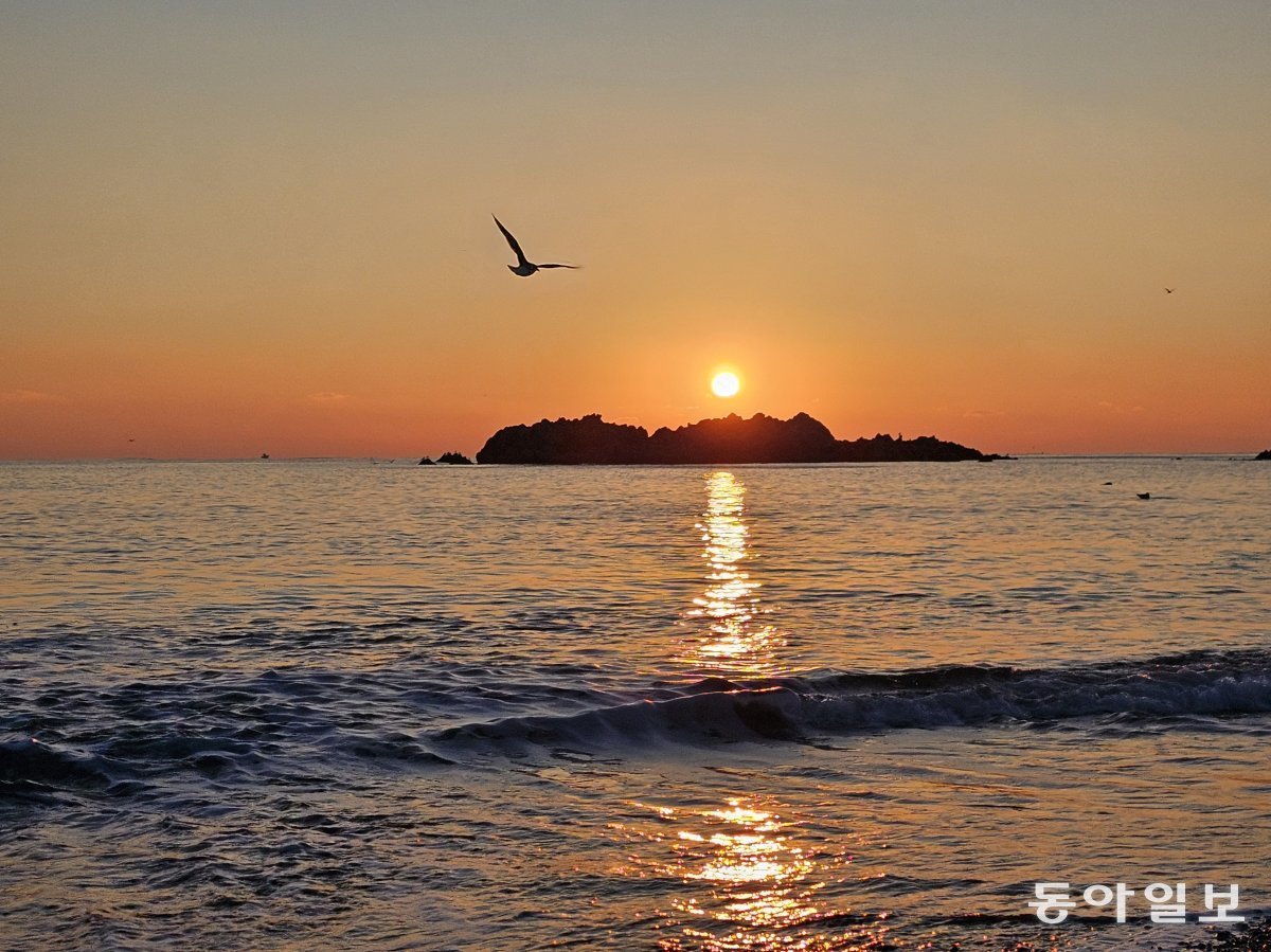 문무대왕암 일출.jpg