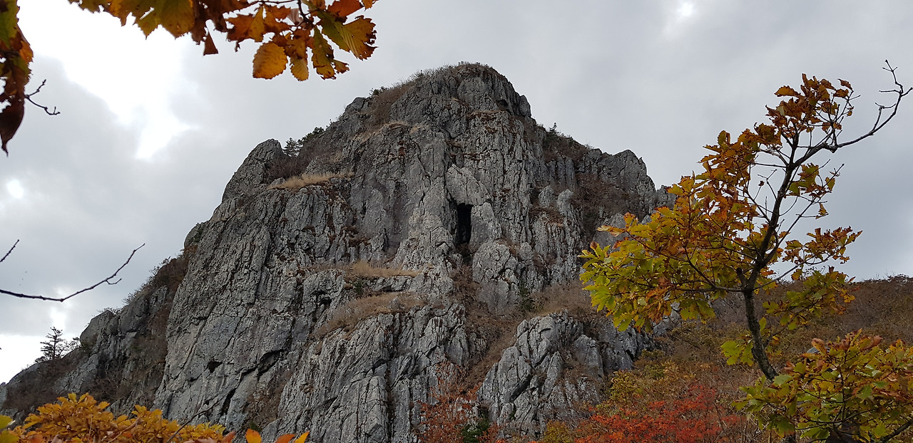 20191020 산불평원.jpg