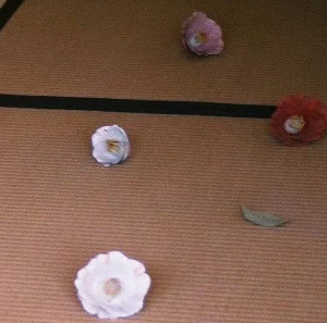 Screenshot 2024-10-31 200058.jpg