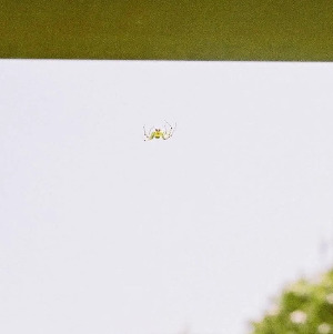 Screenshot 2024-10-31 200044.jpg