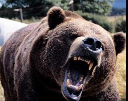 화면 캡처 2025-07-10 140759.jpg