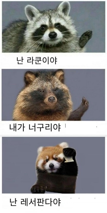 cfc574a3-f144-4fc1-8547-9400e3ea39ee 복사본.jpg