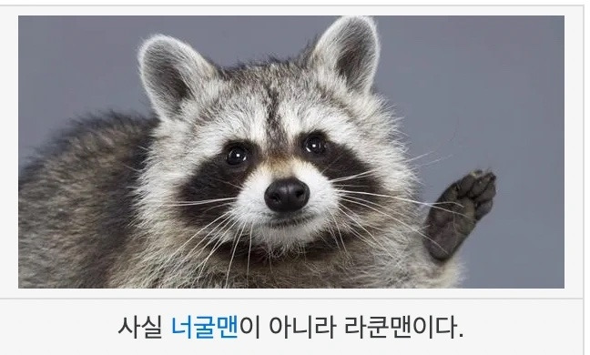 436cdd01-4e39-459e-83d3-f75830e1dec9 복사본.jpg