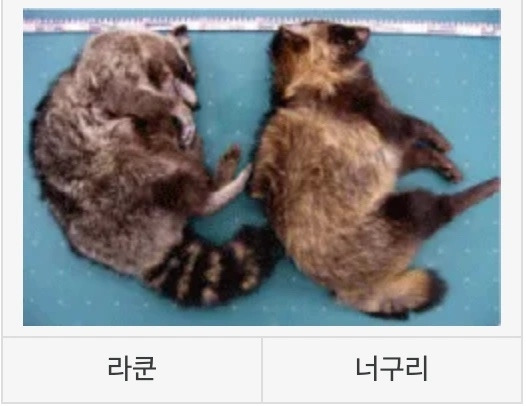 1952646d-45ed-4cd9-af81-ca20ae549a61 복사본.jpg