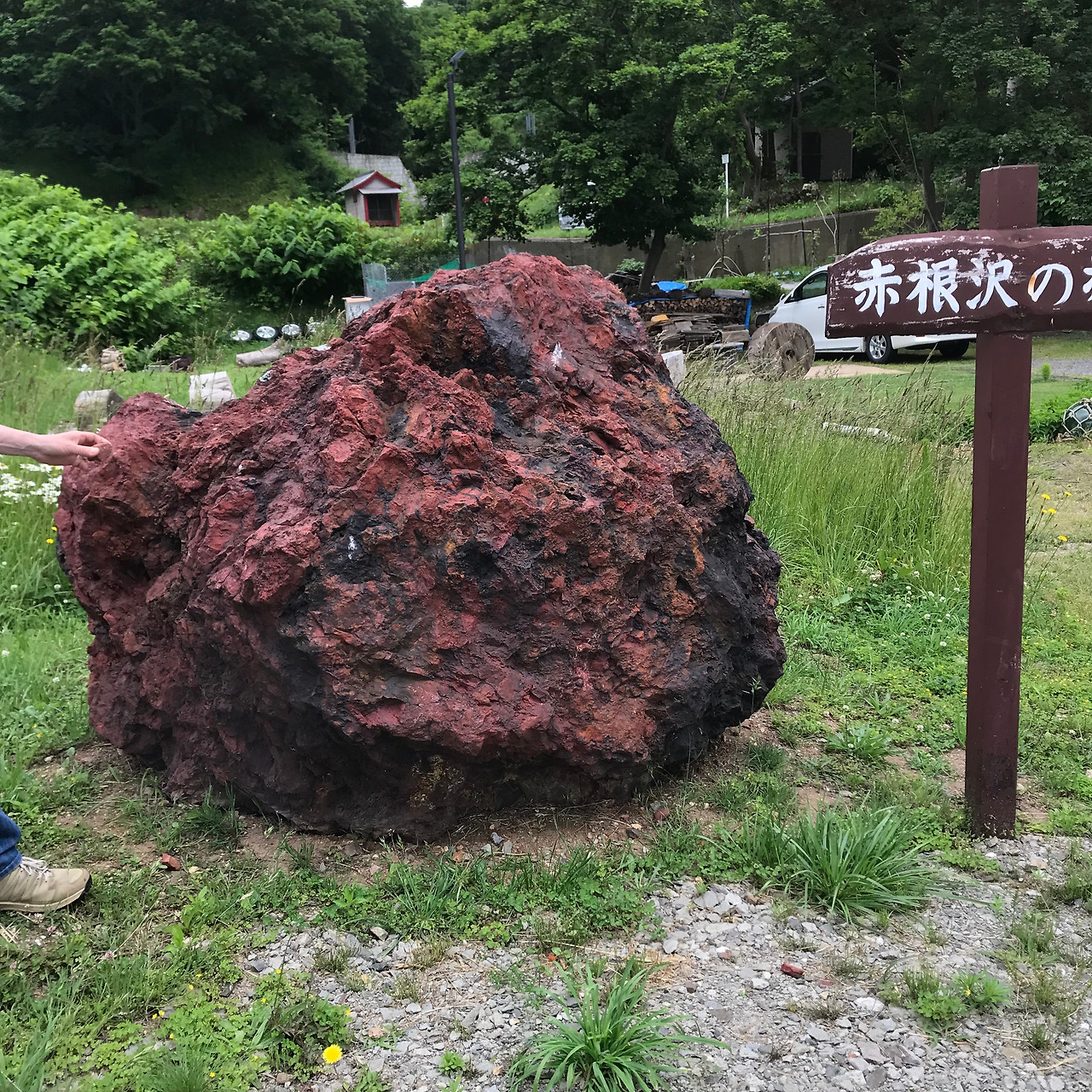 카지노 쿠폰