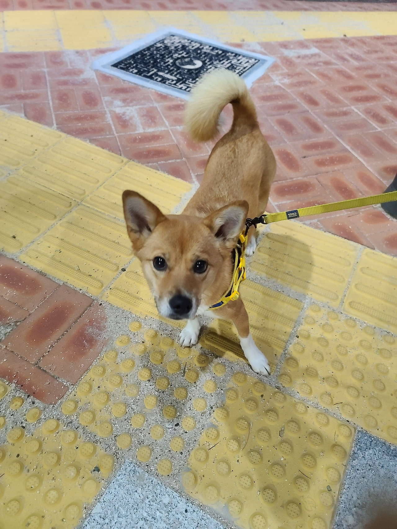 노화의 혜택.jpg