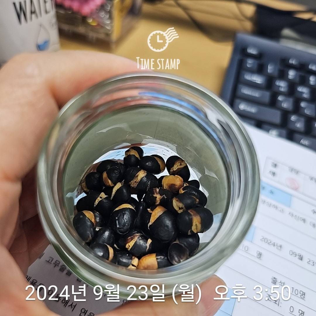 KakaoTalk_20240923_205415197_03.jpg