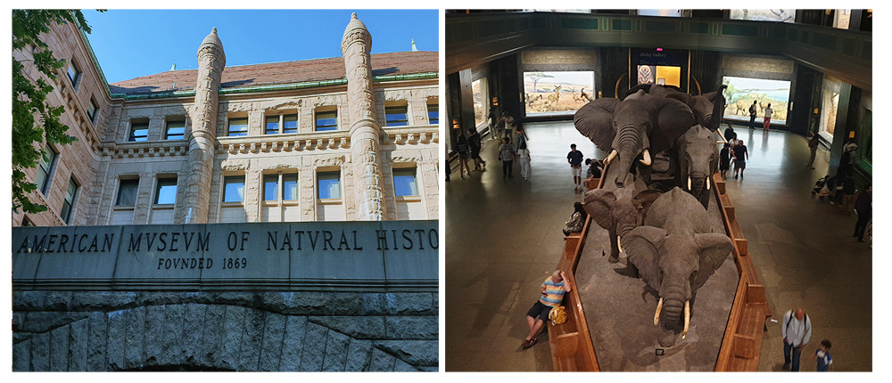 자연사박물관1.jpg