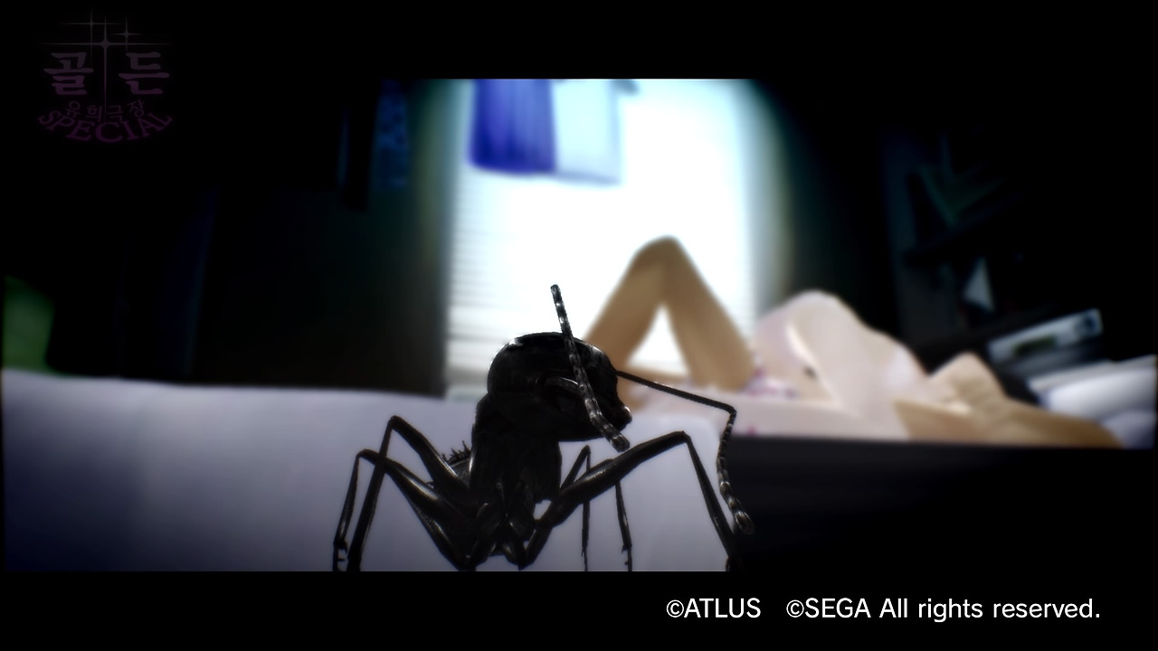 캐서린 풀 보디_20200122075405.jpg