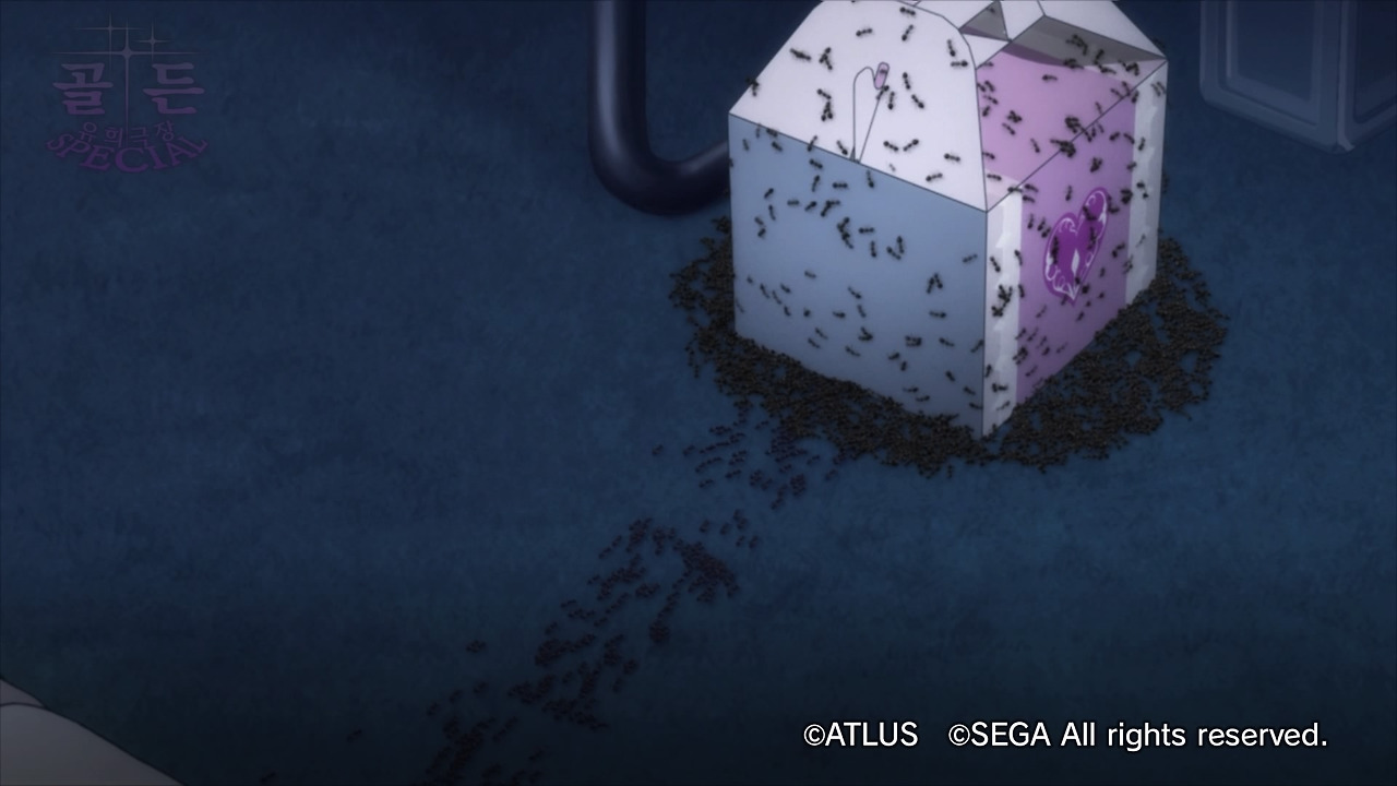 캐서린 풀 보디_20200122173527.jpg