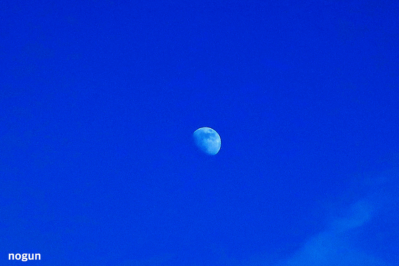 nogun18.jpg