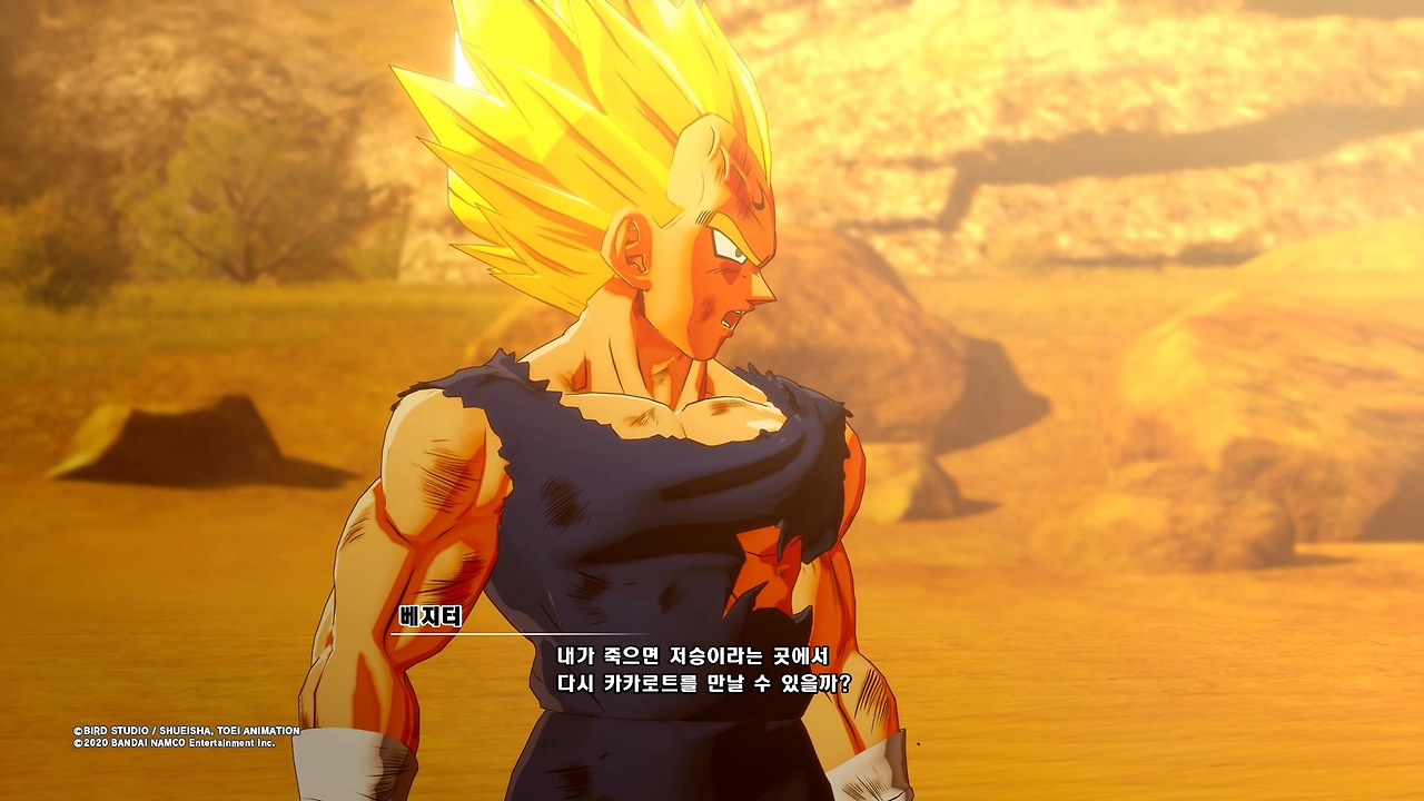 드래곤볼 Z 카카로트_20200119173356.jpg