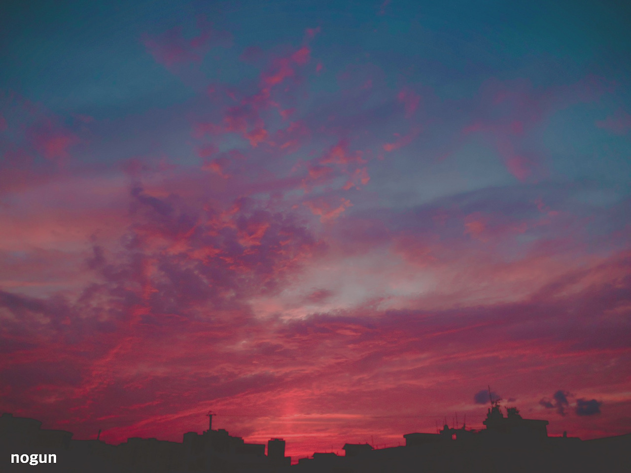 nogun16.jpg