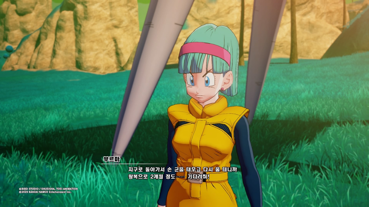 드래곤볼 Z 카카로트_20200116095131.jpg