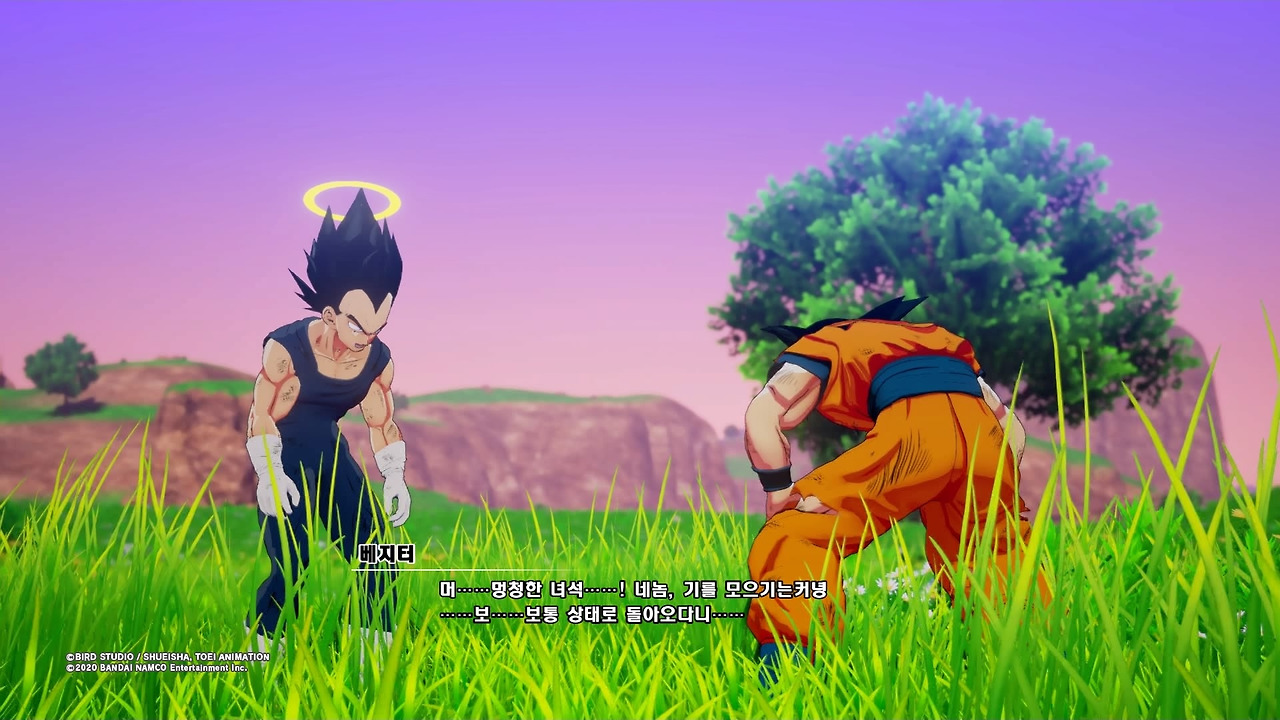 드래곤볼 Z 카카로트_20200119202603.jpg