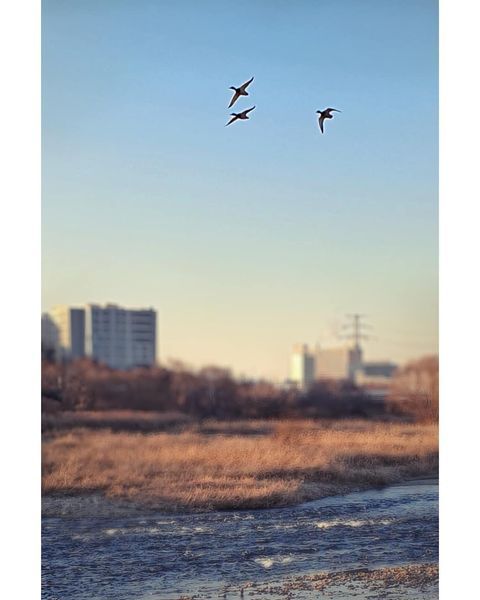 132403907_212774827088487_5952820924150385016_n (1).jpg