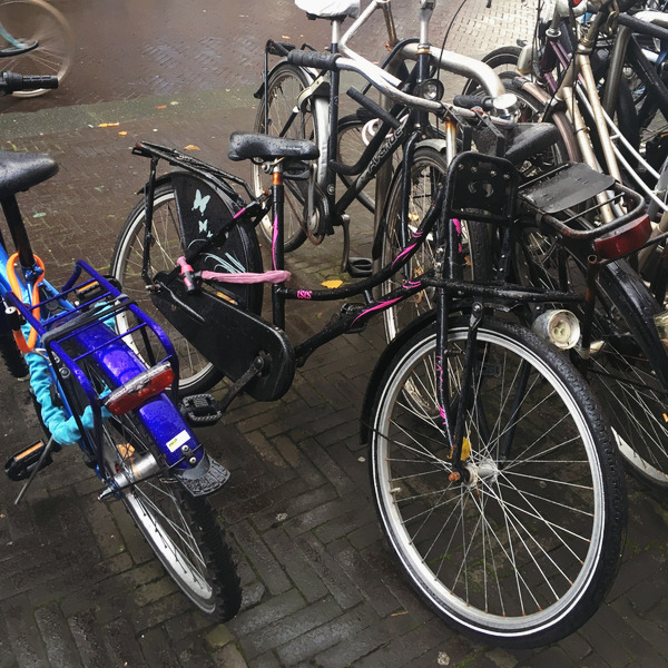 SE-93c94320-b1ae-4323-91c5-f1d2e12515a5 (1).jpg