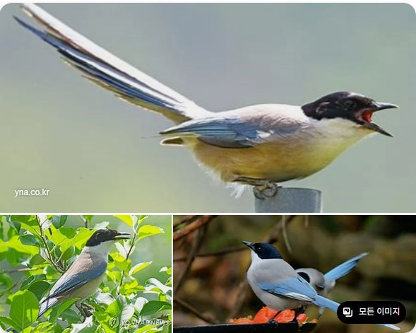 화면 캡처 2025-11-14 152324.jpg