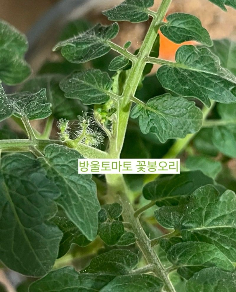 output＿4162345265 (1).jpg